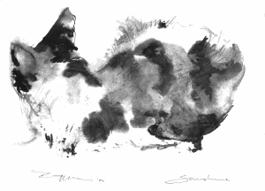 Cat 02