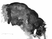 cat1t.gif - 6Kb