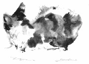 cat2t.gif - 6Kb