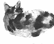 cat3t.gif - 7Kb