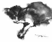 cat4t.gif - 6Kb