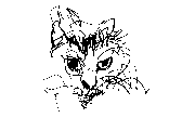cat6t.gif - 962 bytes