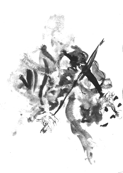 fidl2.gif - 34Kb